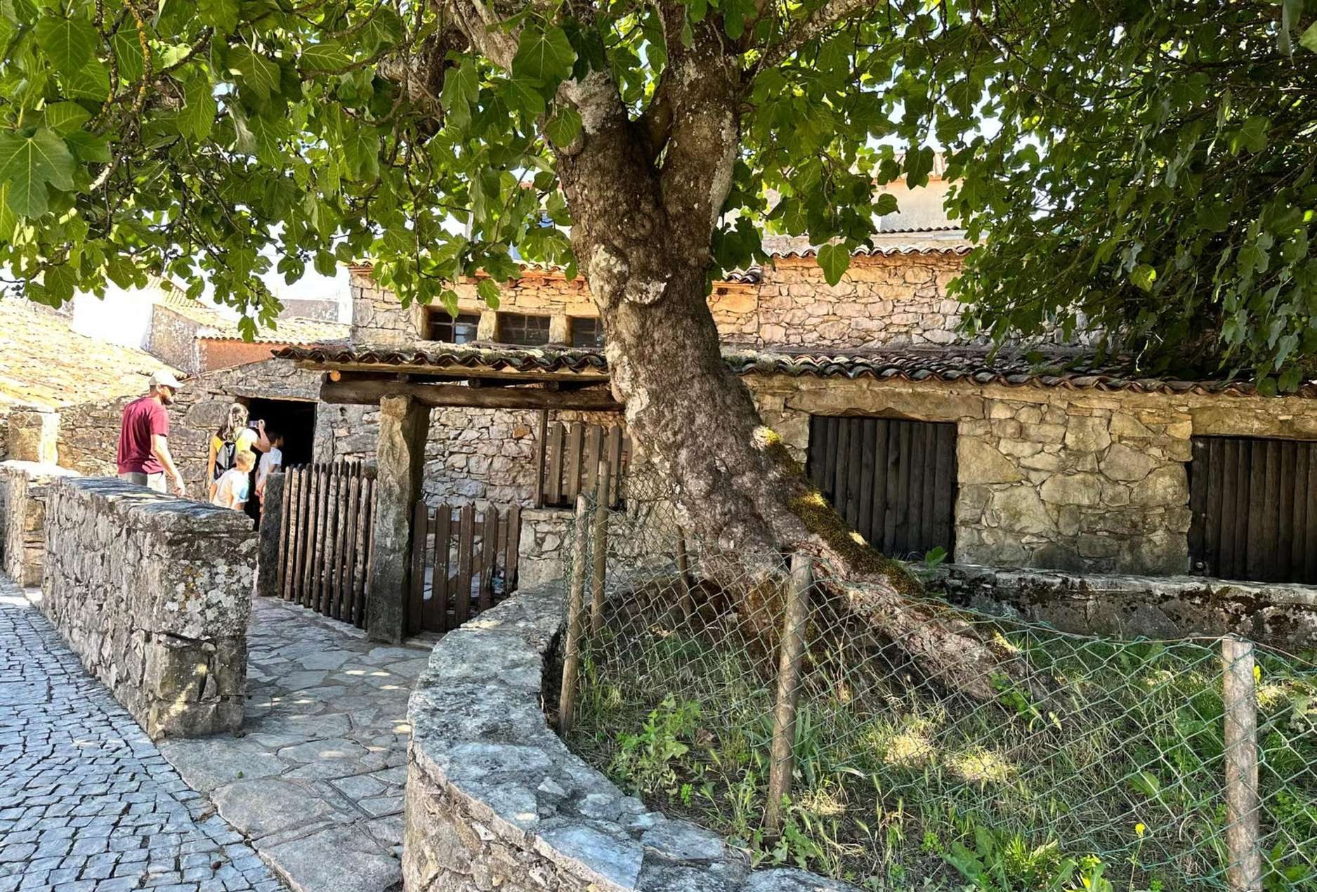Santuario de Fátima & Pastorcitos: Aljustrel