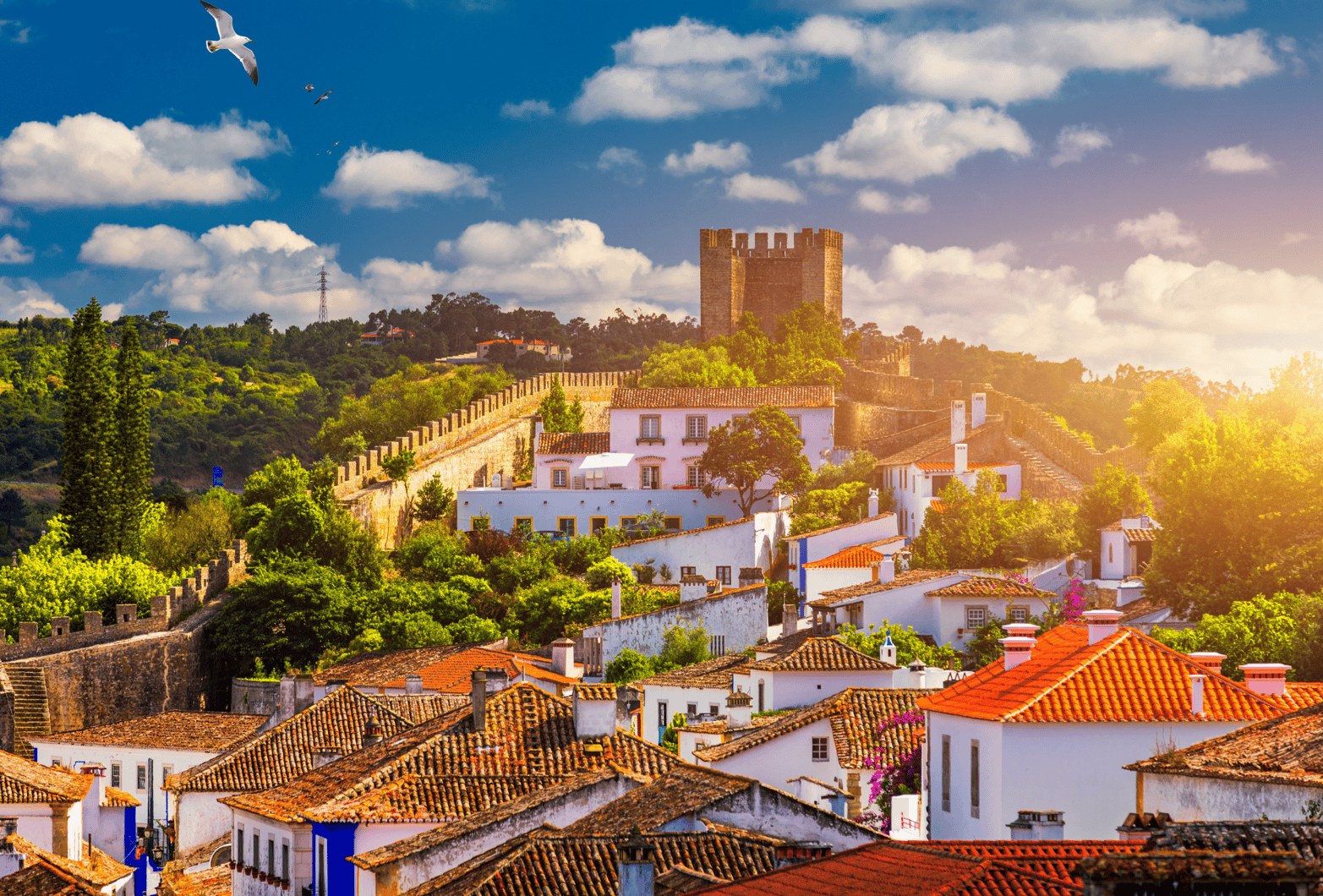 Óbidos & Nazaré, Ginja and Giant Waves: Óbidos