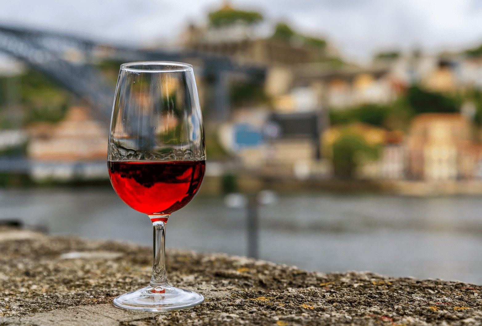 Porto, Vino & Crociera sul Douro: Porto