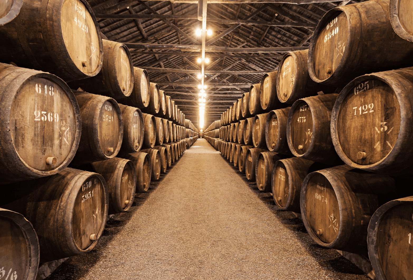 Porto, Vino & Crociera sul Douro: Vinho do Porto