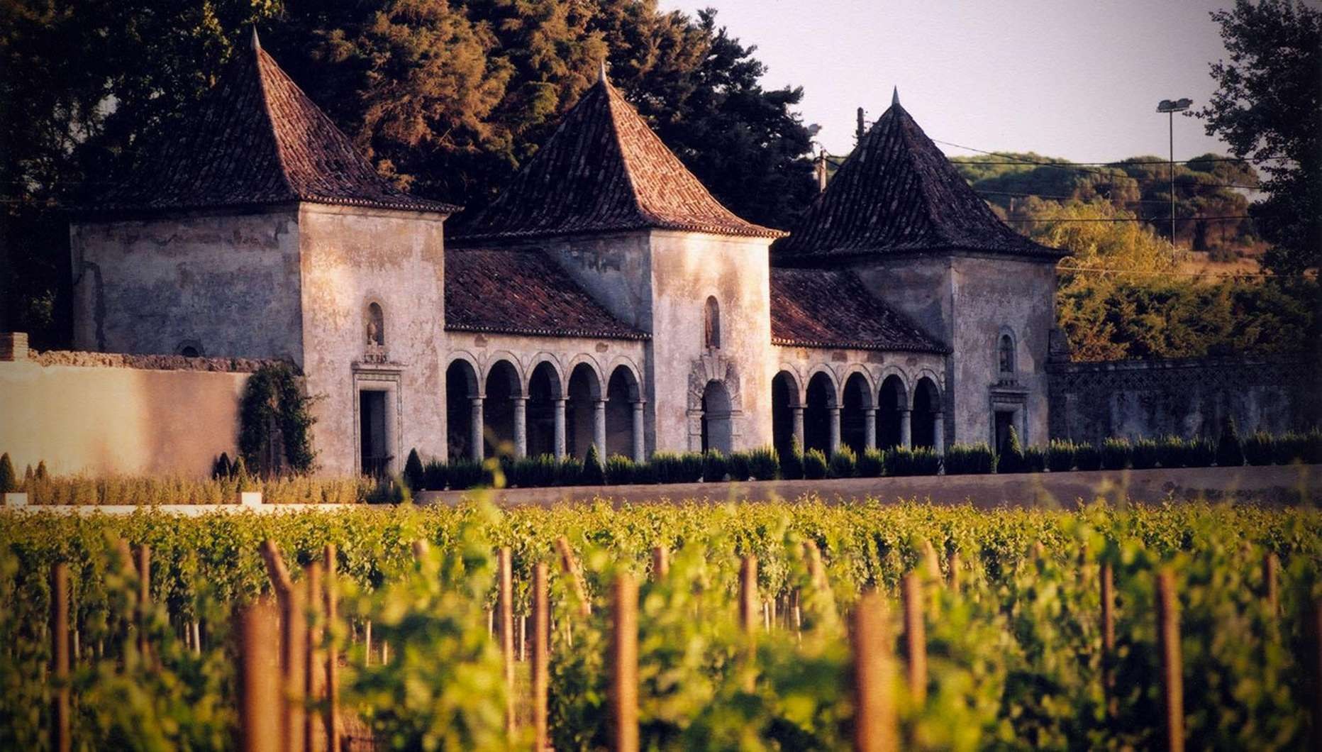 Arrábida, Sesimbra e Vini di Setúbal: Quinta da Bacalhôa