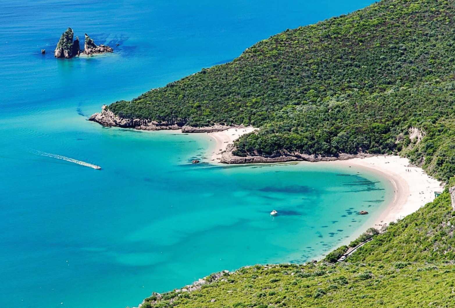 Arrábida, Sesimbra e Vini di Setúbal: Arrábida