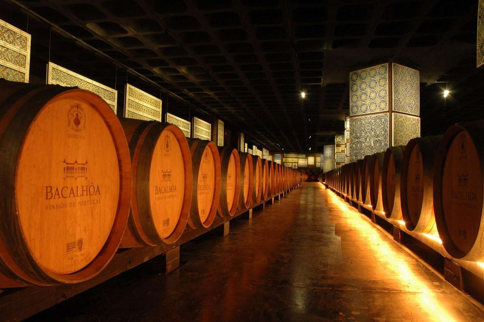 Arrábida, Sesimbra e Vini di Setúbal: Setúbal